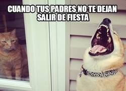 Enlace a Injusticia familiar en toda regla