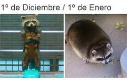 Enlace a Las cosas explicadas con mapaches siempre se entienden mejor