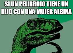 Enlace a Descendencia entre pelirrojos y albinas