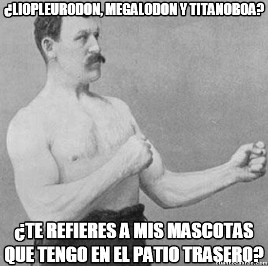 Overly_manly_man - Las mascotas de Overly Manly Man