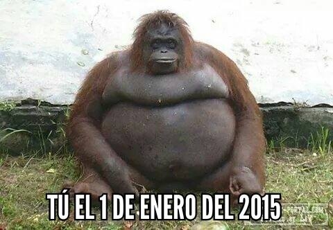 1 de enero,2015,comer,enero,engordar,fiestas,gordo,orangutan