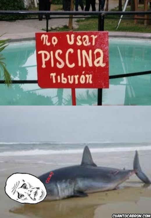 carteles,la importancia de las comas,okay,piscina,tiburon