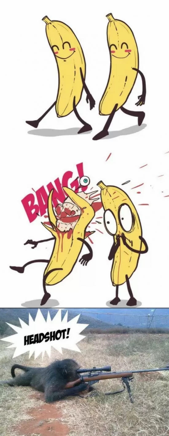 bananas,cabeza,francotirador,headshot,matar,mono,tiro