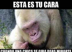 Enlace a Esa cara de triunfador nato...