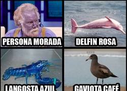 Enlace a ¿Crees que eso de los shiny solo pasa en Pokémon?