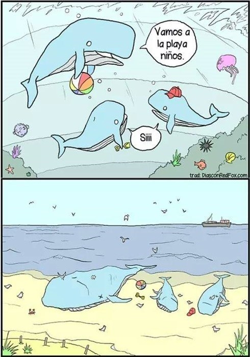 Otros - Esta es la única explicación que se me ocurre a las ballenas que encallan en la playa