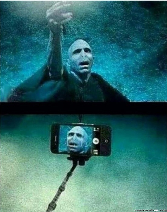 Harry Potter,Palo de hacer selfies,selfie,varita,Voldemort