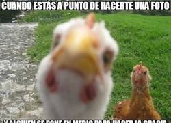 Enlace a El típico gracioso del photobombing