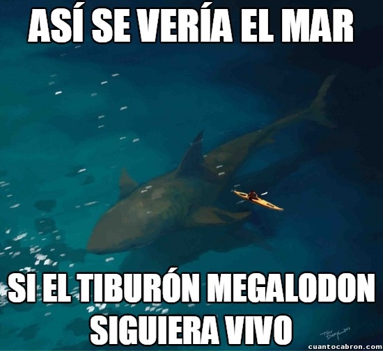 Meme_otros - Si el Megalodon siguiera surcando los mares...