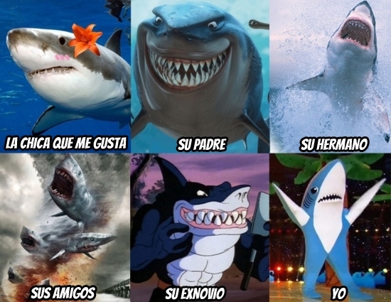 Meme_otros - Tiburones enamorados