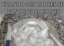 Enlace a Cuando mis padres se van de vacaciones y mi alimentación depende de mí