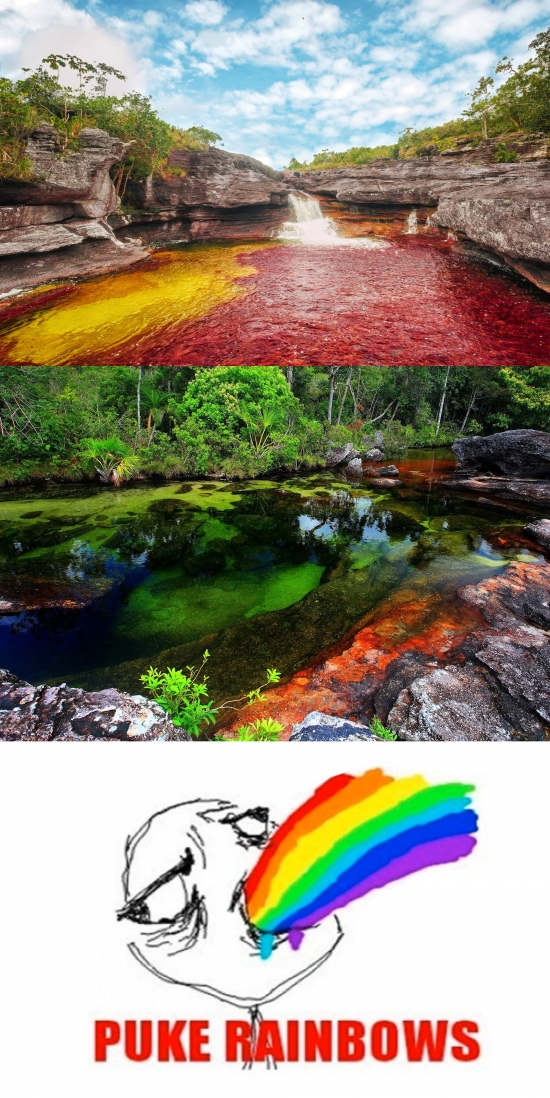 Puke_rainbows - A algún lado tenía que ir todo lo que Puke Rainbows no es capaz de mantener dentro de su cuerpo