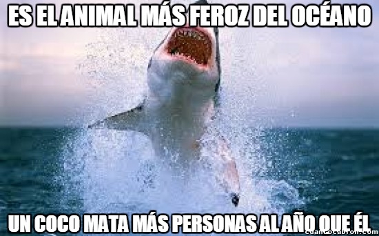 coco,inofensivo,océano,pero no te encuentres uno en el mar,personas,tiburones