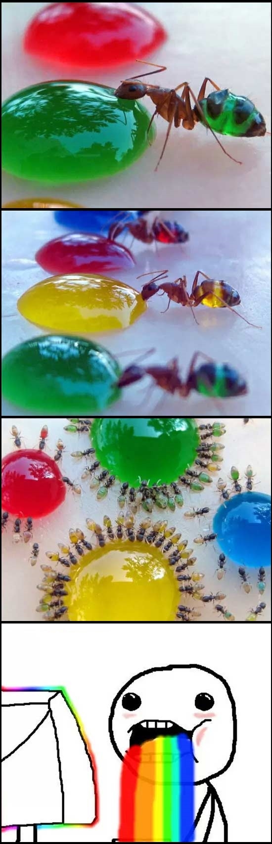 amarillo,azul,colorearse,colores,hormigas,puke rainbows,rojo,verde