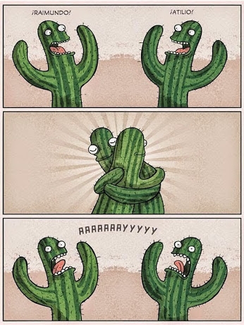 abrazo,Cactus,sí se pueden pinchar aunque tengan espinas,viejos amigos