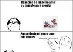 Enlace a Mis manos deben tener un sabor especial o algo