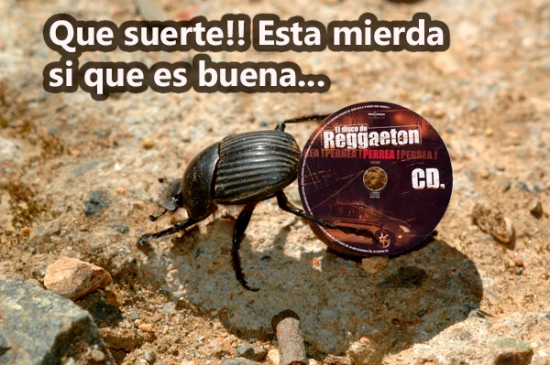 Meme_otros - Compilado de Reggaeton 2015, remezclado por el especialista en este tipo de materiales