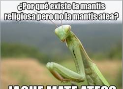 Enlace a Jaque mate, religión