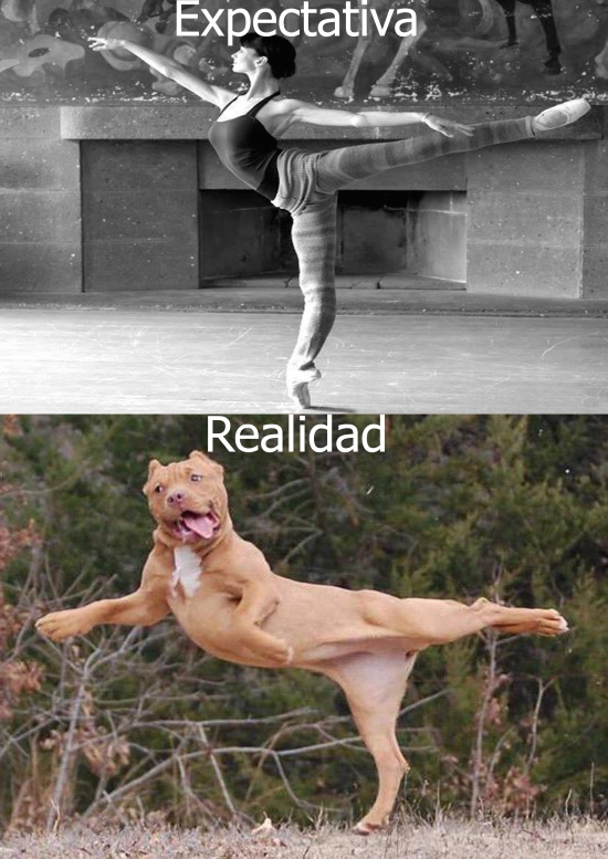Ballet,Mi arabesque se parece al del perro,No veo muchos memes con referencia al ballet,Polina Semionova,pose