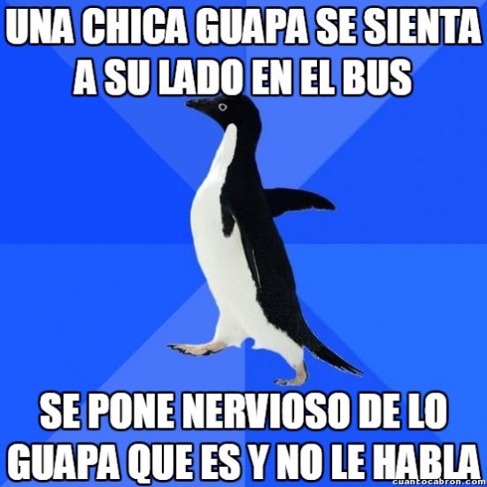 awkward penguin,bus,chica,chica guapa,hablar,nervios,nervioso