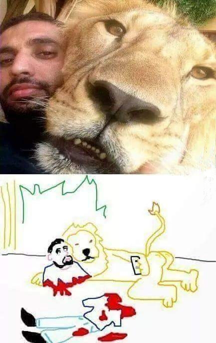 devorador,gato gordo,hombre,leon,minino,selfie,solo un trozo