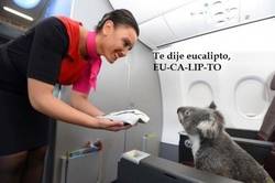 Enlace a Un Mofli enfadado ha aparecido