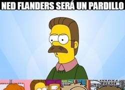 Enlace a Ned Flanders y su imán para atraer a las mujeres