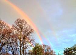Enlace a La naturaleza a veces también tiene bugs y pasan estas cosas
