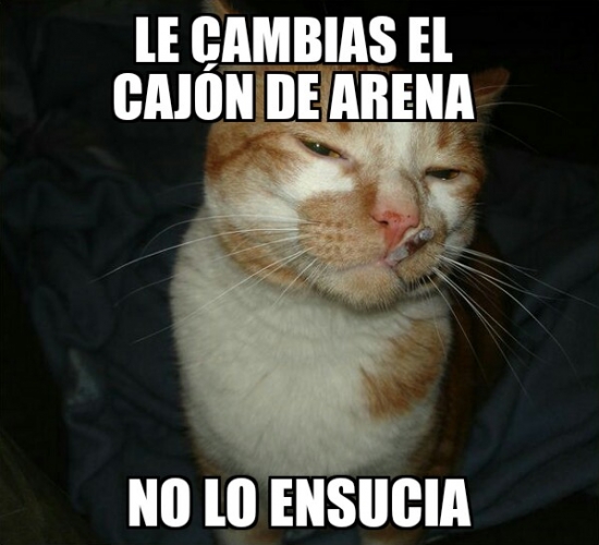 arena,cajón,gato,good guy cat,limpio,no ensuciar
