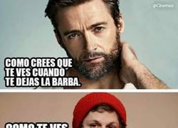 Enlace a Barbas y el punto de vista del que las ve