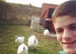 Enlace a Es muy duro el destino de algunos pollos