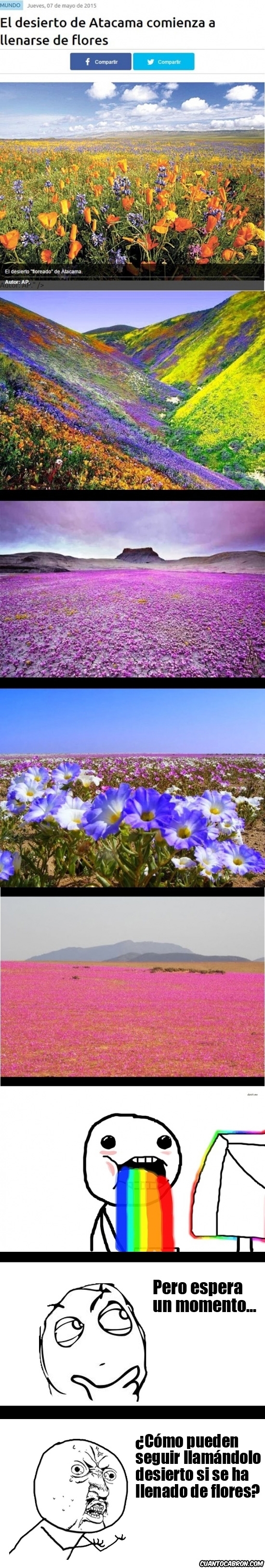 Y_u_no - El desierto de Atacama, ¿lleno de flores?