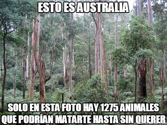 Meme_otros - Australia, tierra de animales peligrosos