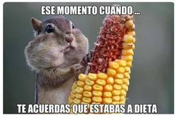 Enlace a Y cuando te acuerdas ya es demasiado tarde