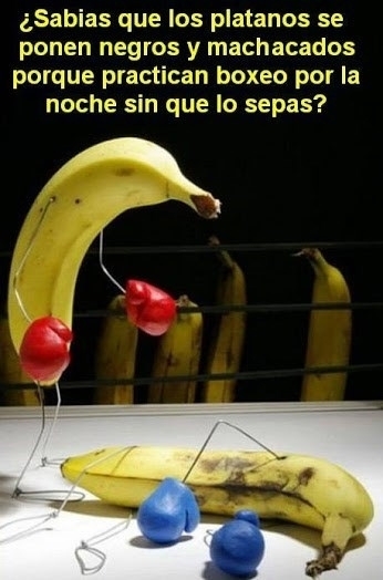 Meme_otros - El comportamiento nocturno secreto de los plátanos