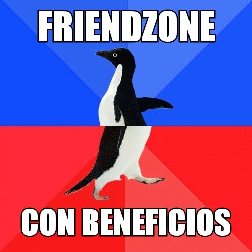 ankward,asombroso,awesome,beneficios,friendzone,pinguino