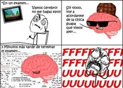 Enlace a Yo también te quiero, cerebro