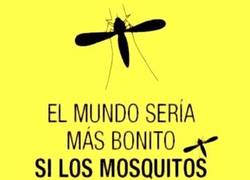 Enlace a Un pequeño rediseño en la alimentación de algunos animales y todos seríamos más felices