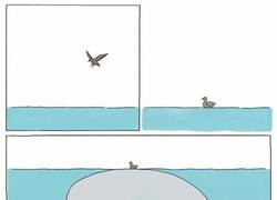 Enlace a Las pequeñas aves pueden causar problemas bien grandes