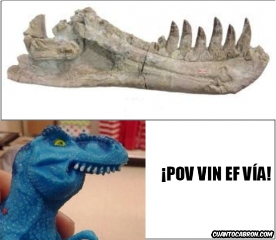 dinosaurio,F,tivanofaurio