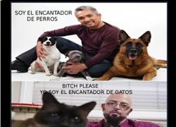 Enlace a ¿Adiestradores de animales peligrosos? Contadme más...
