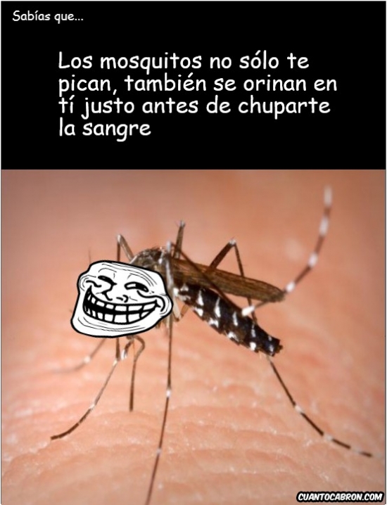 Otros - Los mosquitos no sólo te pican