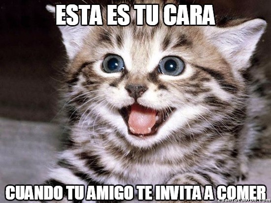 amigo,cara,comida,gato,invitacion,it's free
