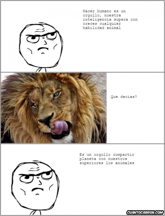 animales,el más fuerte,inteligencia,león,superiores