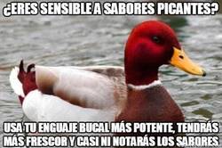 Enlace a Lo mejor para evitar el picor en la lengua