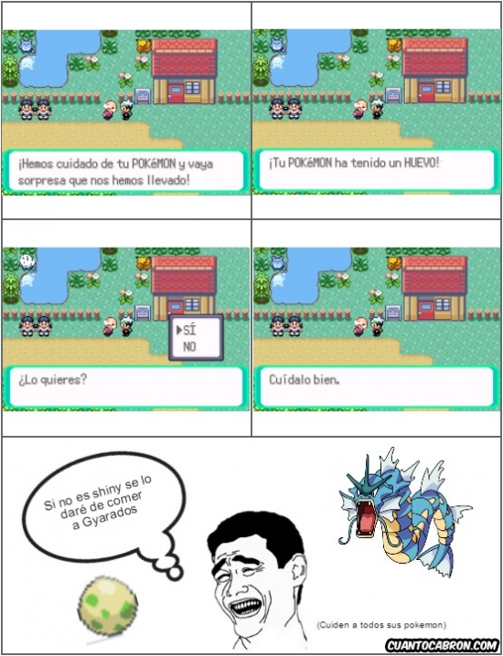 Yao - El triste destino de las crías Pokémon