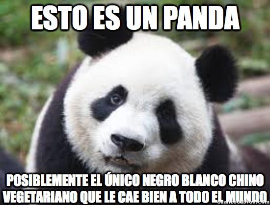 Meme_otros - El panda le cae bien a todo el mundo