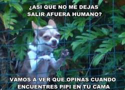 Enlace a Ellos siempre se vengan de ti