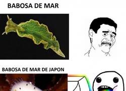 Enlace a En Japón todo mola mucho más