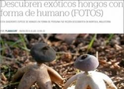 Enlace a Cuando las cosas en Steven Universe se acercan más a la realidad